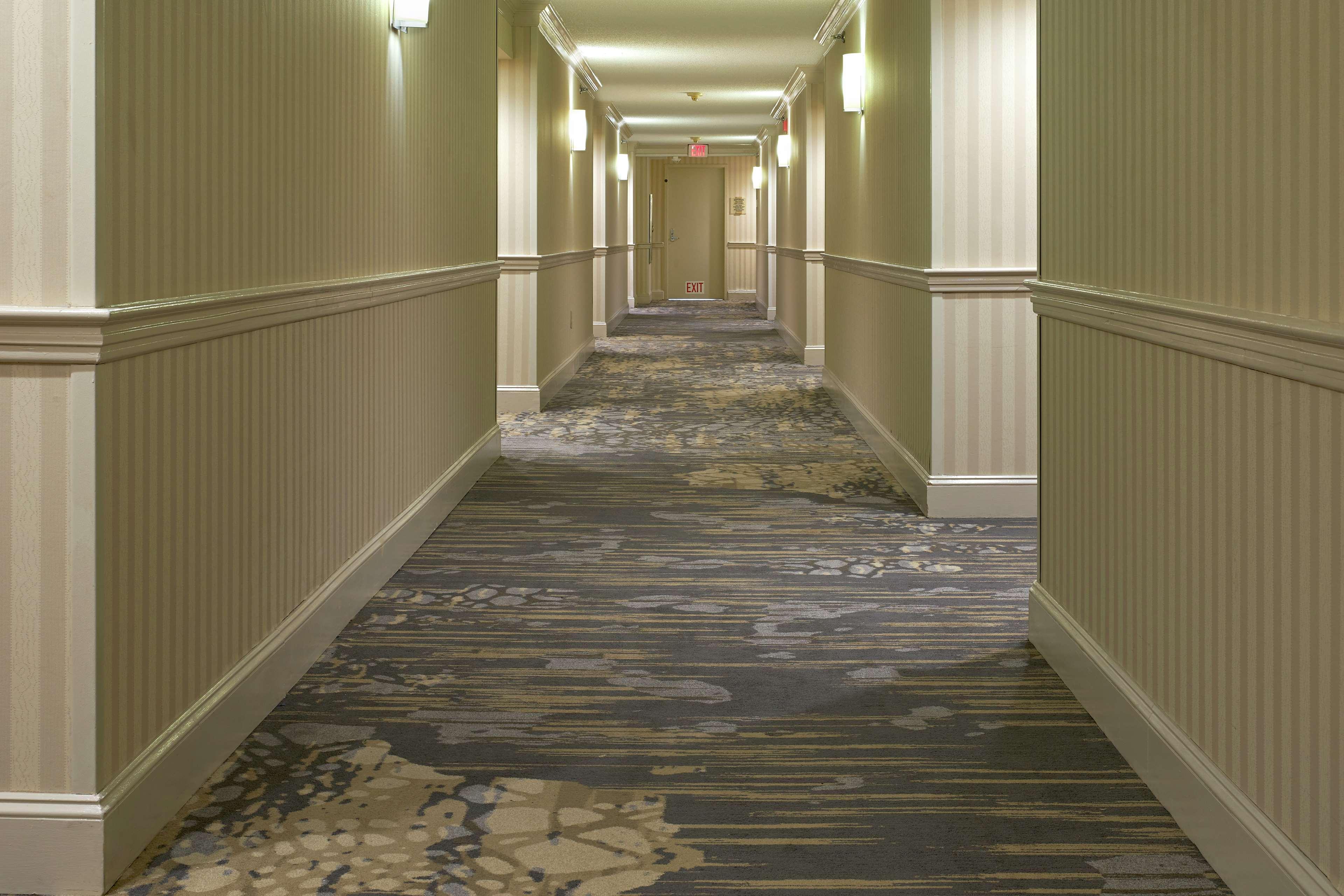 מלון Hilton Raleigh North Hills מראה פנימי תמונה